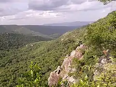 Vue sur le Parc national de Sri Venkateswara, dans le sud de l'état.