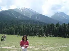 Paysage de la vallée de Pahalgam (en), dans la vallée du Cachemire.