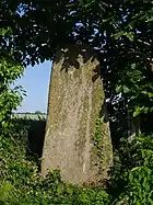 Stèle gauloise du Petit-Domaine, ombragée d'arbres.