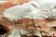 Gros plan sur un quartz, centre blanc cerné de brun, Musée de Petra