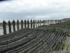 Saint-Cast-le-Guildo de la côte d'Émeraude en Bretagne