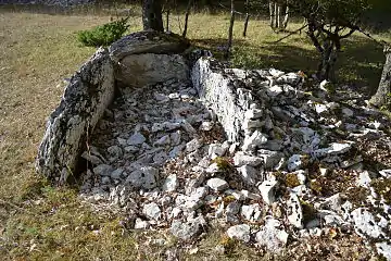 Dolmen de Combe-de-Saule n°1.