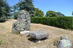 Image illustrative de l’article Menhir de Juigné