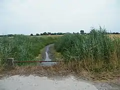 La Maye asséchée : les eaux partent dans le canal, près du pont sur la RD 204, St-Firmin, St-Quentin.