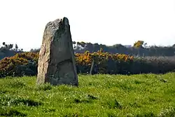 Menhir de la Bergerie des Étennevaux