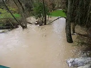 L'Aveyron en décembreau moulin du Court.