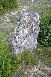 Menhir des Barasques n° 1