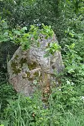 Menhir de Biais