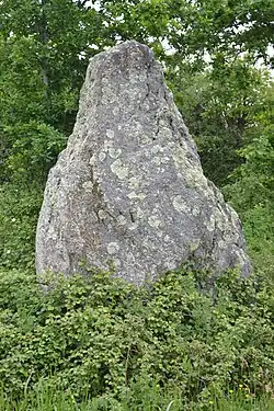 Image illustrative de l’article Menhir de la Roche Govi