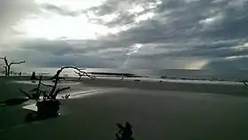 Plage sur Sainte-Catherine Island