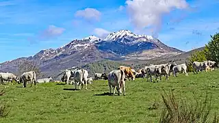 Pics de Soularac et Saint-Barthélemy.