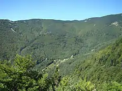 Photographie couleur d'une vallée pyrénéenne arborée, prise depuis la crête. L'ermitage est vers le fond de la vallée, au centre de l'image.