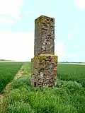 En plein milieu d'un champ sur un mont