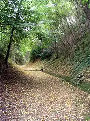 Côte de Brille, première voie d'accès à Saint-Sever,.