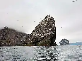 Grand rocher de forme triangulaire au milieu de l'eau, avec d'autres îles derrière et des fous de bassans le survolant.