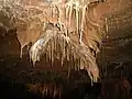 Stalactites dans la grotte de Lacave.