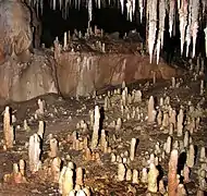 Stalagmites de l'aven de Noël (Ardèche).