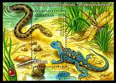 Description de l'image Stamp of Azerbaijan 581.jpg.