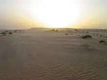Photographie d'un désert balayé par le vent.
