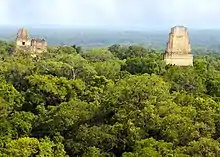 Photo de bâtiments dans une forêt tropicale.