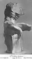 M : Statua trunca e marmore Pario F : Statue mutilée, en marbre de Paros (Torse du Belvédère)