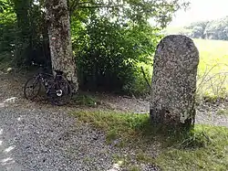 Statue-menhir de Gieussels