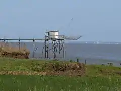 Carrelet de Saint-Christoly-Médoc. Au loin les falaises de Meschers-sur-Gironde, au nord.