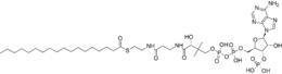 Image illustrative de l’article Stéaryl-coenzyme A