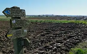 Chemins de randonnée à Steenvoorde.