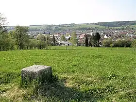 Steinheim am Albuch