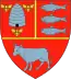 Blason de Județ de Vaslui(ro) Județul Vaslui