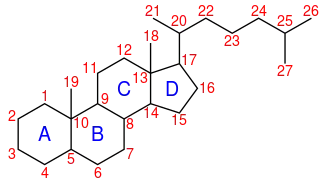 Image illustrative de l’article Cholestane