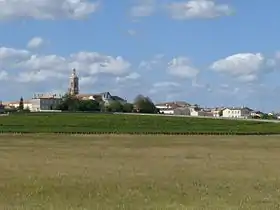 Saint-Estèphe (Gironde)