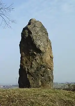 Image illustrative de l’article Menhir de Steudten