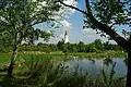 Vue des jardins de l'abbaye