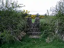 Stile en béton, (v1) chemin de la messe, Ranaghan, Collinstown