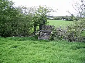 Stile en béton, (v-2) chemin de la messe, Ranaghan, Collinstown