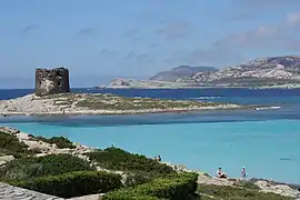 Stintino, tour génoise, et au fond, Asinara.