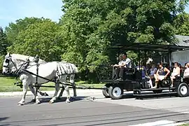 Transport de touristes, aux États-Unis.