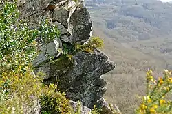 Profil droit d’un visage humain à la Roche d'Oëtre dans l’Orne.