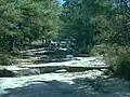 Sentier balisé de Stone Mountain.