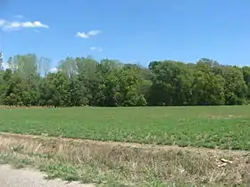 Licking Township (comté de Crawford, Illinois)