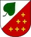 Blason de Strakov