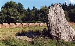 Menhir de Roquinarc'h