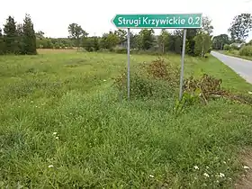 Strugi Krzywickie