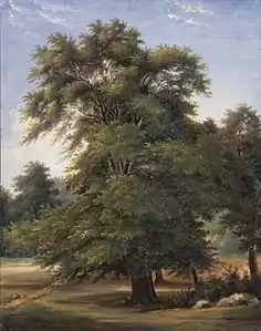 Étude d'arbre (vers 1800-1805), musée d'art du comté de Los Angeles.