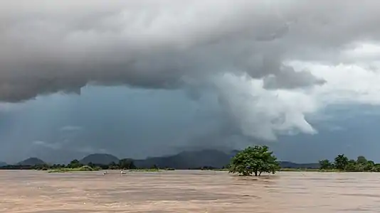 Arbre immergé dans le Mékong sous un ciel sombre et nuageux pendant la mousson, à Si Phan Don. Août 2018.