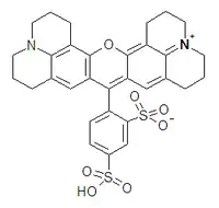 Image illustrative de l’article Sulforhodamine 101