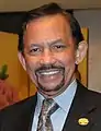 Hassanal Bolkiah,sultan du Brunei