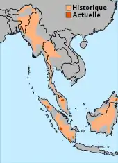 Carte visualisant la distribution du Rhinocéros de Sumatra.